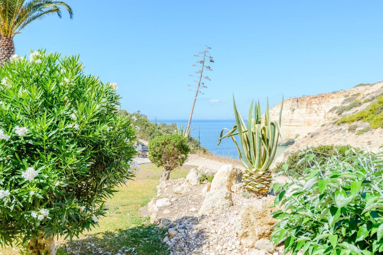 The Little Paradise With Sea Views 카르보에이루 외부 사진